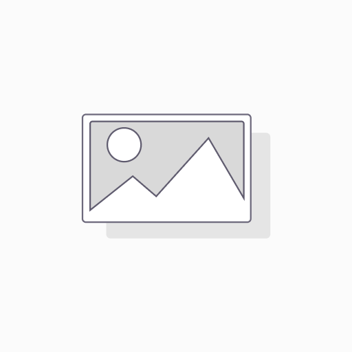 Nitron DU Bush NIT-040005